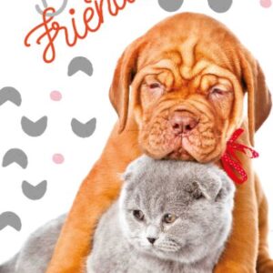 4b5e4ac7788af4d292dc84d809793edd