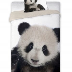 a4863f9edab3640e31cb8bb23185a2b2