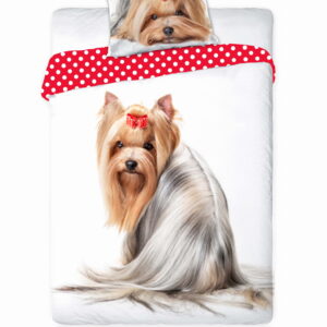 c0bfb56cb45bd3e331cf14e544cc213e