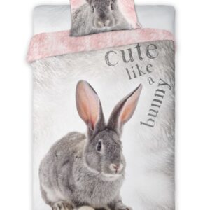 f3f2058da7ccfcfa29bf0bc3cbf09d84