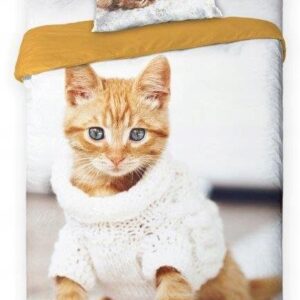 076c0ee4fafe496c8b7ce9bce176e11a