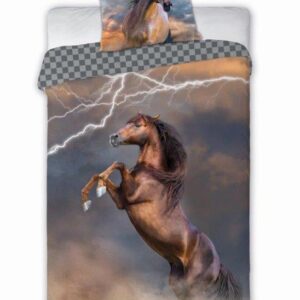 02ebc7f1055f4310f3be47cd5a43daac