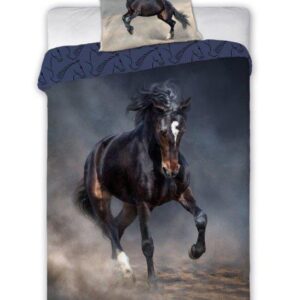 55251abd20a5de9fc45c6483b4b59974