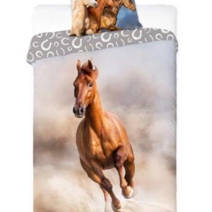 7de49bd297ab9e0bd519e52d5d57d444