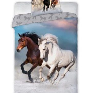 a1b9200faa6fd4b83f47191fc4afb84f