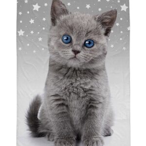 2d286fd9dadf2c9dc9208fe544615899