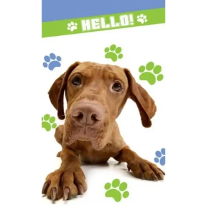 9490d6579a05a19d58682880d4ffb67a