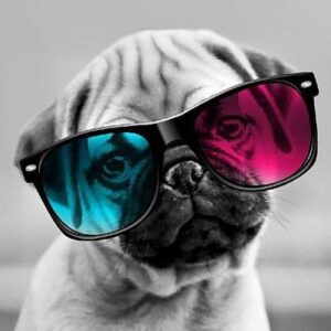 9725ebdf828bf794df42513f3dd262ba