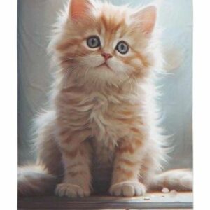 ef60319beb3c52395ed48a6a4fa27858