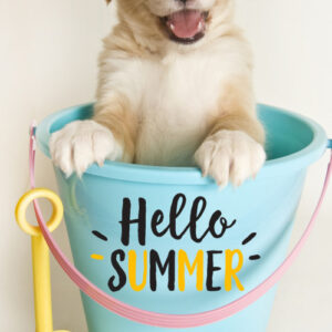 ce99110f6f9cec929ae7bdde3242be69