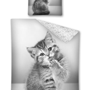 9f31bceb075dcf72562cd8071286ba21