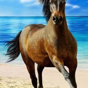 ccb30b51cd46badbb691997979192210