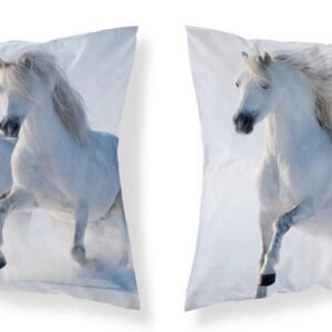 7a4d257989b1376740cb19cf3fcd0ef2