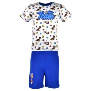 b69faf6099d90ef86a1f048021c26ae7