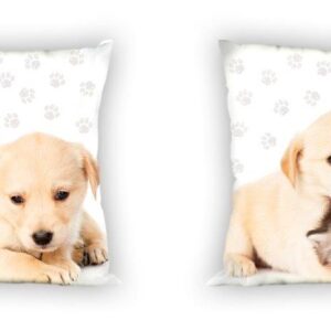 bf69857425fda7cd63a83711a3289f9e