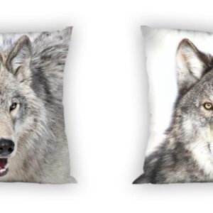 3924b7e6aebdca68069f9a4e80e1e9a6