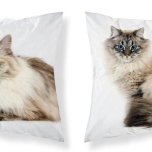 869a7886116e89991f9a6efe25a540be