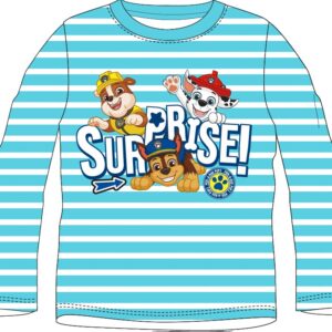 351f4309dbfcc2d8b30ff729f2572a1f