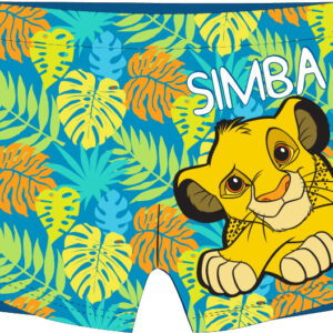 ae20454ba8c0cb276e7896ebb075b1c3