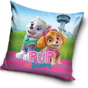 1831ed00a486ad0de0c7b90ddf1fede1