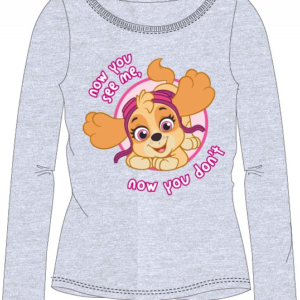 93d218f9c80c765da45e29254d3b7e3d