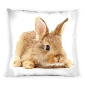 92e3259c9e92701996cfd91eb0d76e93