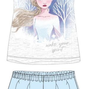 c332973e73255ddc2f134257ec620293