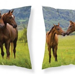 b3516223669e8dce80d7ffd5a175a319