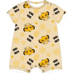 be772237cbad4737c64a623284dac00b